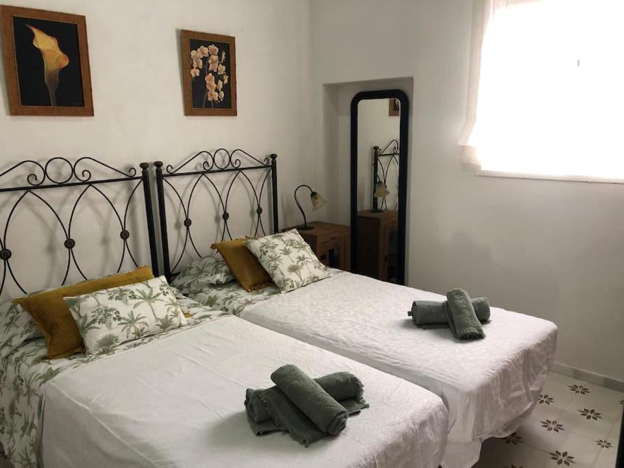 Gran Casa Con Balcon Grupos En Centro Historico