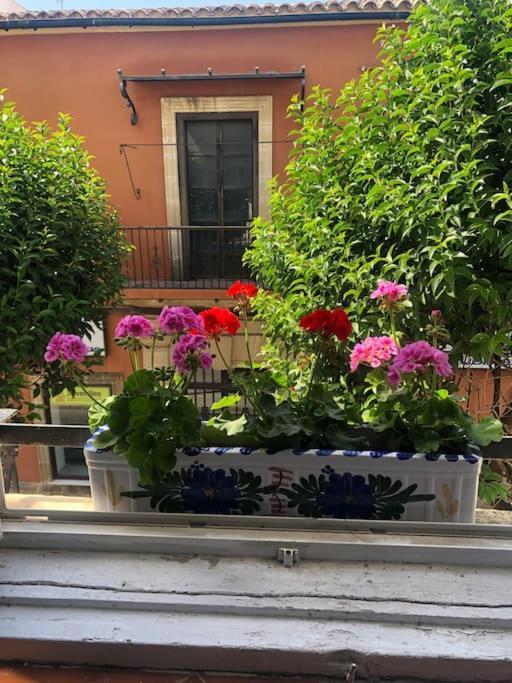 Gran Casa Con Balcon Grupos En Centro Historico